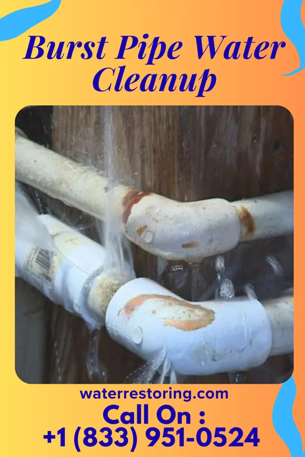 Burst Pipe Water Cleanup in Hampton, VA