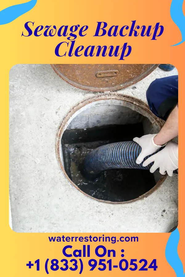 Sewage Backup Cleanup in Hampton, VA