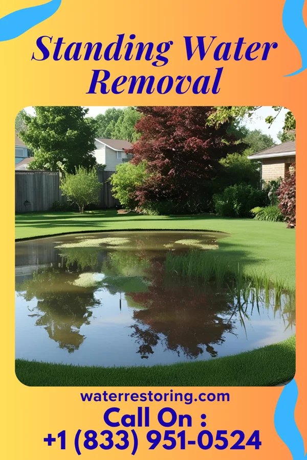 Standing Water Removal in Hampton, VA